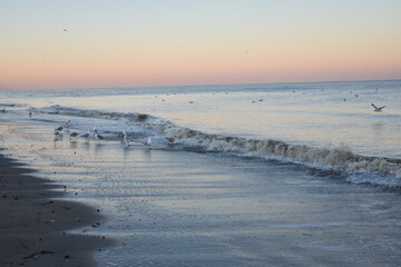 Nordseeküste in Niederlande