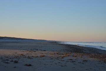 Nordseeküste in Niederlande, Strand, Krabben und Muscheln.