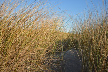 Nordseek&uuml;ste in Niederlande bei Abendd&auml;mmerung im Winter.