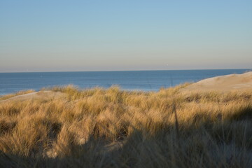 Nordseeküste in Niederlande bei Abenddämmerung im Winter.