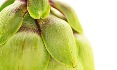 Alcachofa sobre sobre fondo blanco