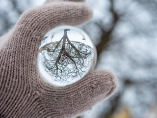 Winterlandschaft Baum in einer Glaskugel