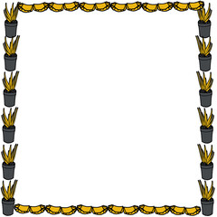 aloe vera, aloe set plant, a genus of succulent plants of the family Asphodelic subfamilies Asphodeloe aloe plant helps to treat viral diseases, aloe strengthens the immune system, picture for printin