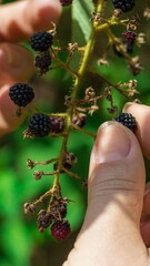 Fotografia de Natureza 