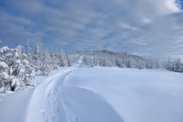 Winter in the Polish Mountains. Silesian Beskids.