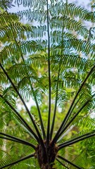 Fotografia de Natureza 