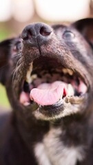 Fotografia de Natureza 