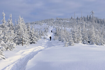 Winter in the mountains, two hikers on a snow-covered trail.