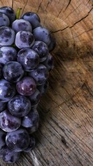 Fotografia de Natureza 