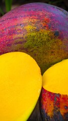 Fotografia de Natureza 