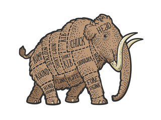 Mammoth Cut of beef sketch raster illustration