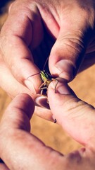 Fotografia de Natureza 