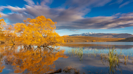 autumn landscape with lake