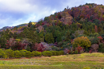 秋の日本庭園 京都 修学院離宮