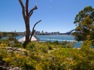 Panoramic View Sydney Harbour NSW Australia