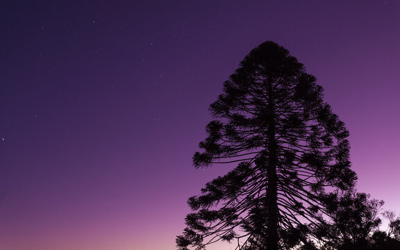 moon rise in the mountains
