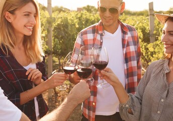 Friends clinking glasses of red wine in vineyard on sunny day