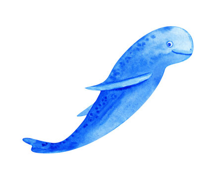 Irrawaddy dolphin watercolor illustration isolated on white.