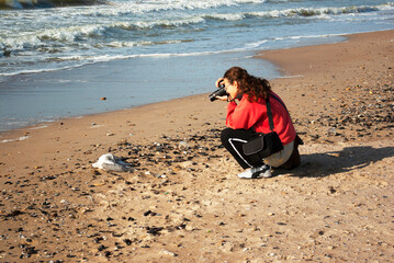 Woman photographer squatting and taking a picture of a dead seagull on the seashore.