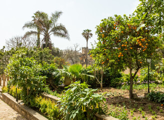 Fototapeta na wymiar Kasbah of the Udayas, Rabat, Morocco