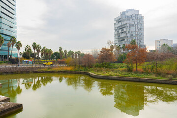 Fototapeta na wymiar buildings and park with lake in downtown city in autumn