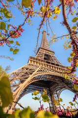 Eiffel Tower with spring trees against blue sky in Paris, France