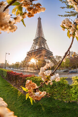 Eiffel Tower with spring trees against sunrise in Paris, France
