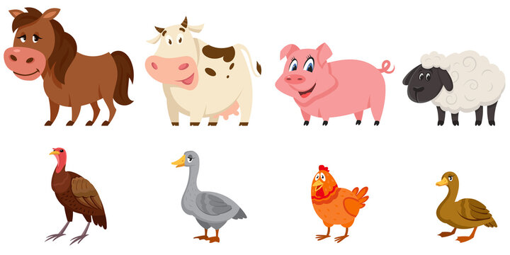 Set of female animals side view. Farm animals in cartoon style.