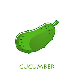 fresh cucumber vegetable isolated icon. cucumber for farm market, vegetarian salad recipe design. Vector illustration in flat style