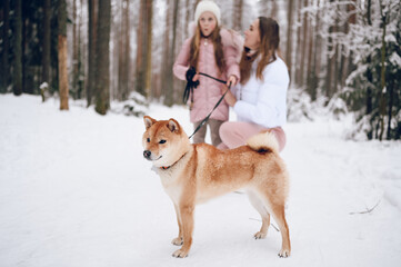 Happy family young mother and little cute girl in pink warm outwear walking having fun with red shiba inu dog in snowy white cold winter forest outdoors. Family sport vacation activities.