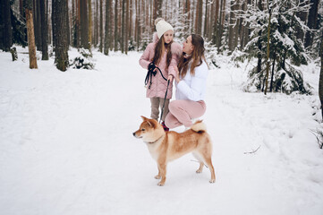 Happy family young mother and little cute girl in pink warm outwear walking having fun with red shiba inu dog in snowy white cold winter forest outdoors. Family sport vacation activities.