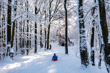 Zima śnieg ścieżka droga ludzie las drzewa kaszuby wieżyca - obrazy, fototapety, plakaty
