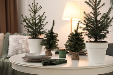 Small fir trees on dining table indoors. Christmas interior design