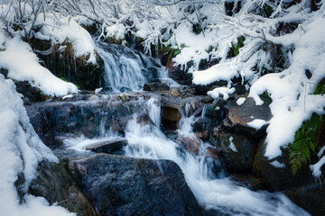 Small stream among wet stones and white snow in the picturesque Carpathian mountains in Ukraine