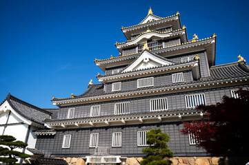 Naklejka premium 岡山城天守 