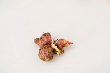 Red ginger or jahe merah isolated on a white background.