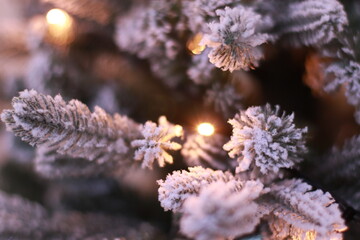 an artificial green spruce branch with garlands stands in the room and flashes warm white and purple light