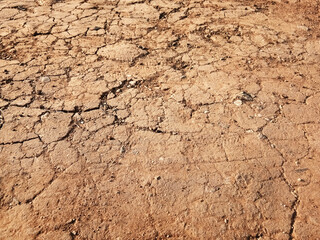 The ground has cracks in the top view for the background