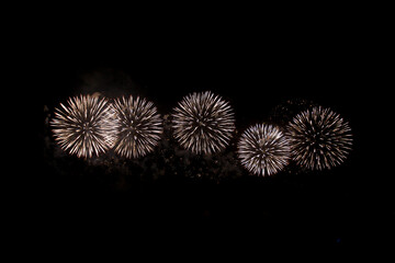 Fireworks blooming on the night sky 