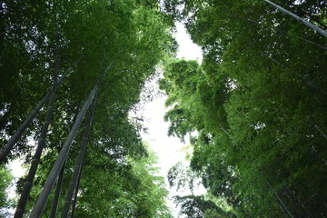 滋賀県の良いところ