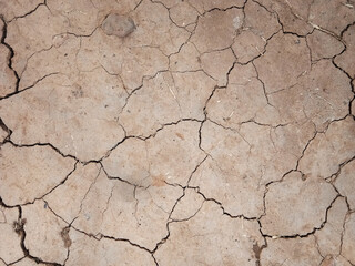The ground has cracks in the top view for the background