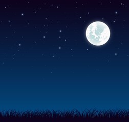 Fototapeta na wymiar Blue dark night sky with full moon and lot of shiny stars and grass ground silhoutte background