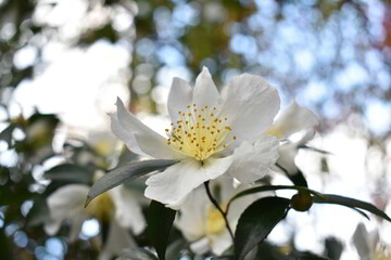 滋賀県の良いところ