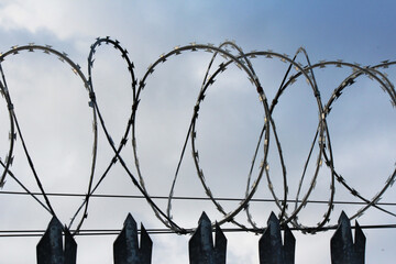 Razor Wire on a Security Fence