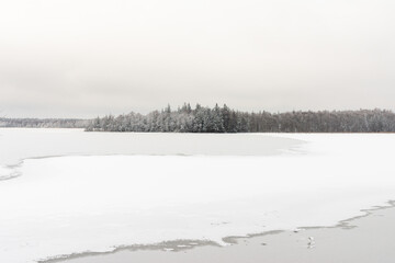 Frozen lake, snowy forest in winter cold day.