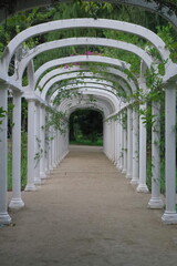 Garden Arch at Rio de Janeiro's Imperial Botanical Gardens