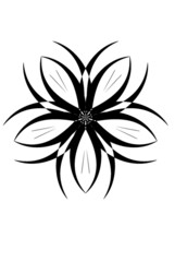 black and white flower