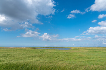 Fototapeta na wymiar Landscape with salt marshes by Fedderwardersiel