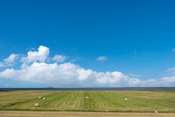 Landscape with salt marshes by Fedderwardersiel