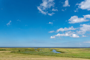 Obraz premium Landscape with salt marshes by Fedderwardersiel
